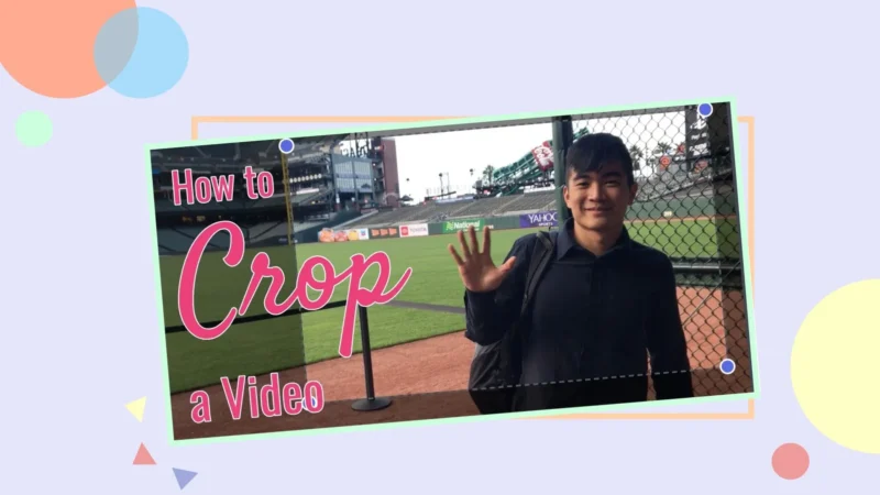 How to Use a TikTok Cropper