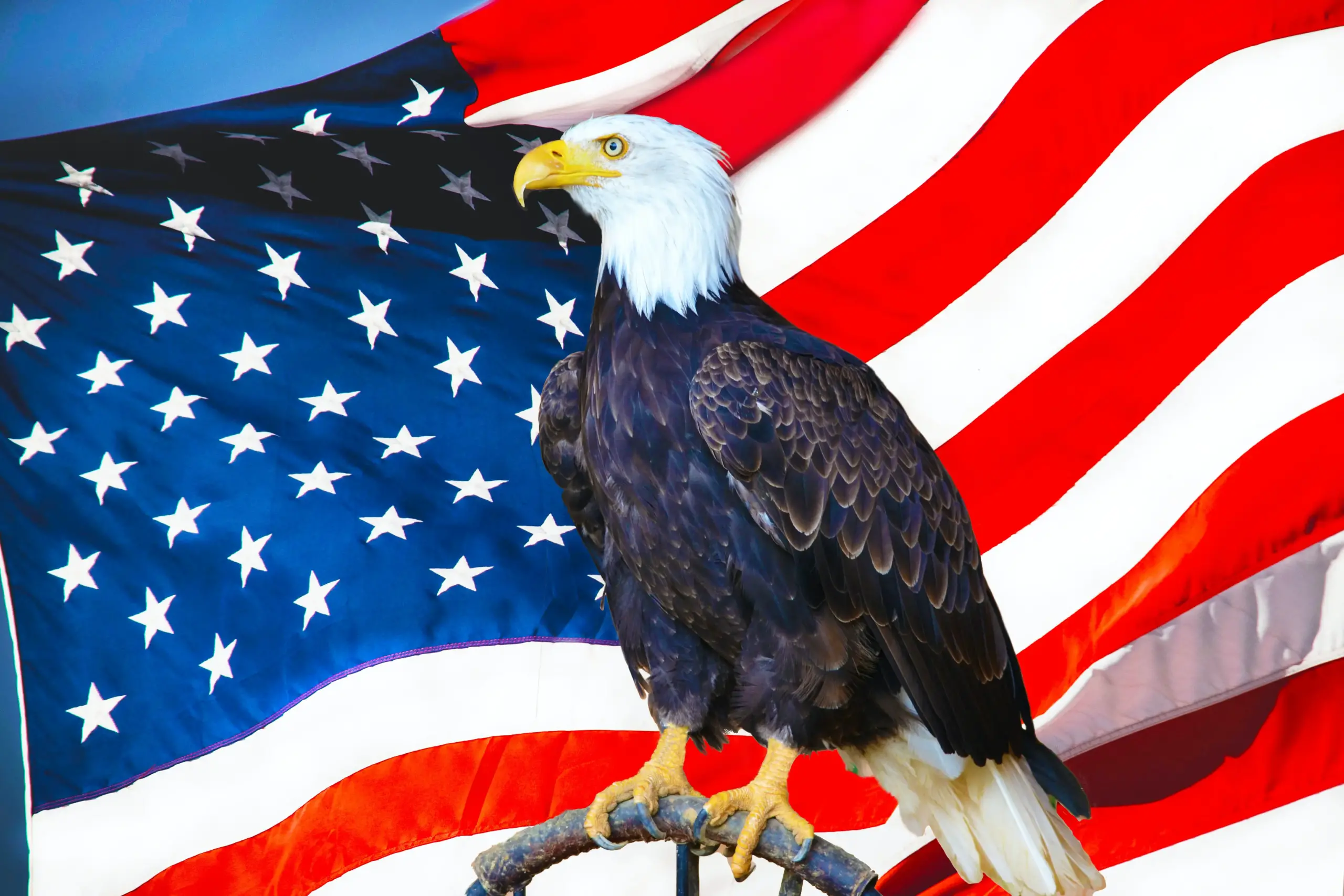 USA National Animals: A Patriotic Celebration of Wildlife