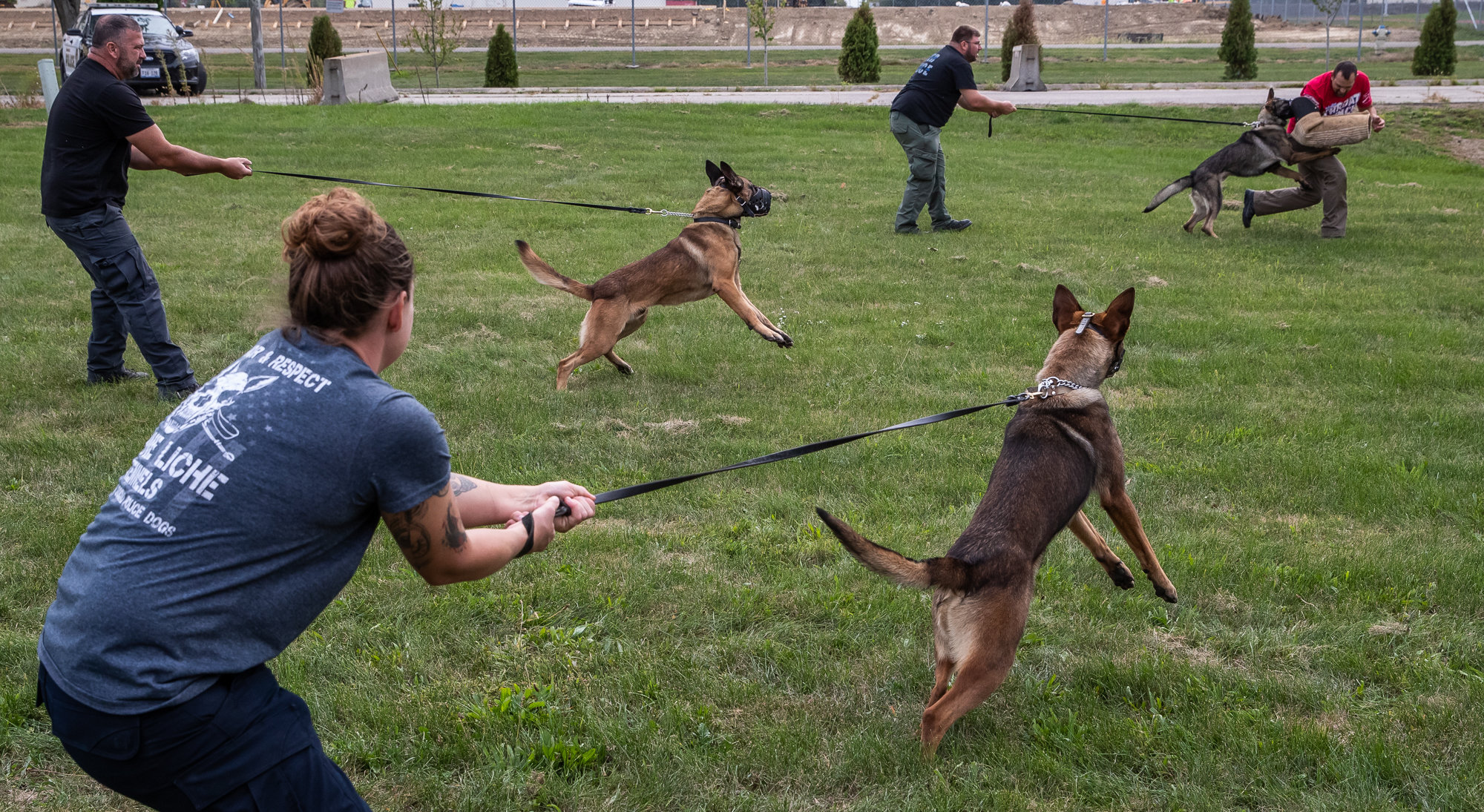 Are Police Dogs Aggressive?