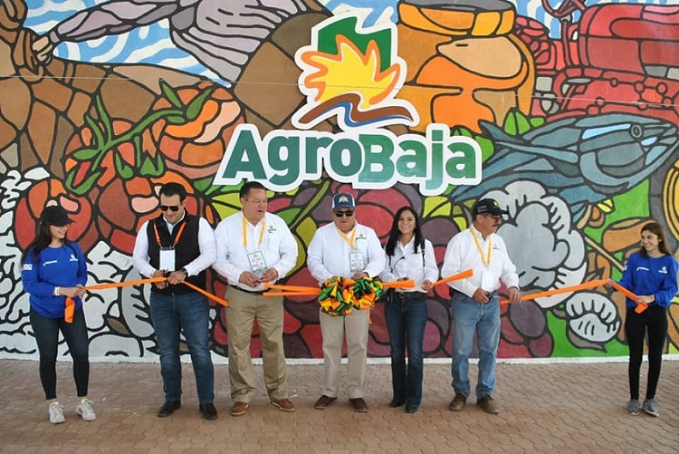 Agrobaja: Revolutionizing Agriculture in Baja California