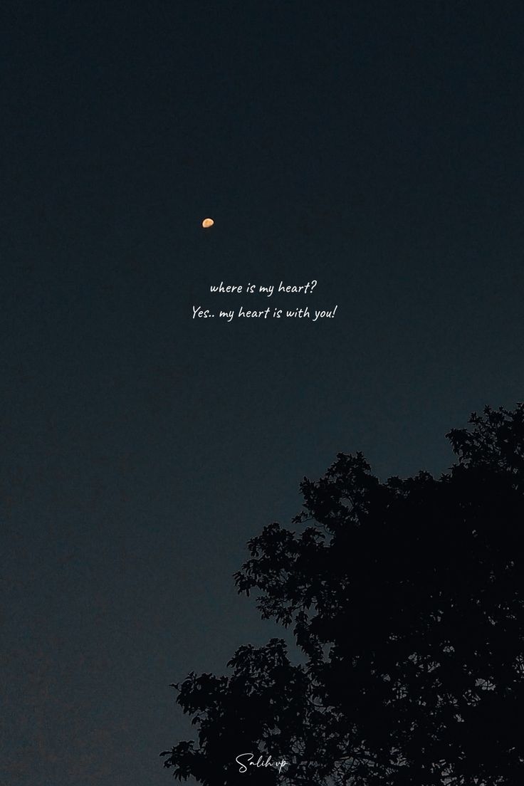 Aesthetic Short Moon Quotes - O C D