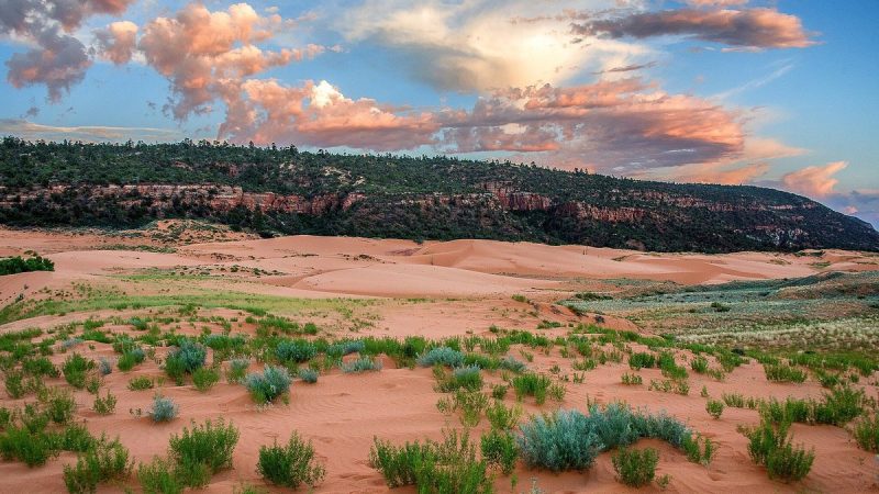 Coral Pink Sand Dunes