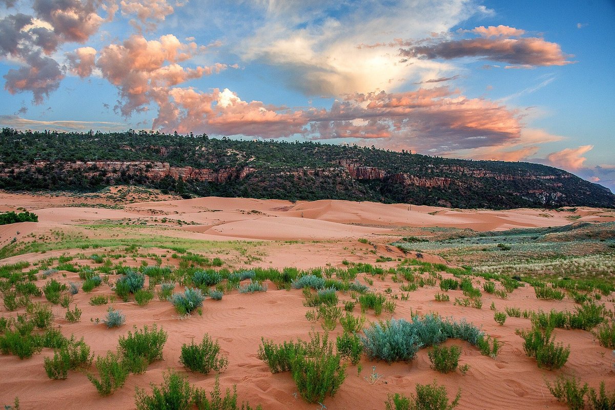 Coral Pink Sand Dunes