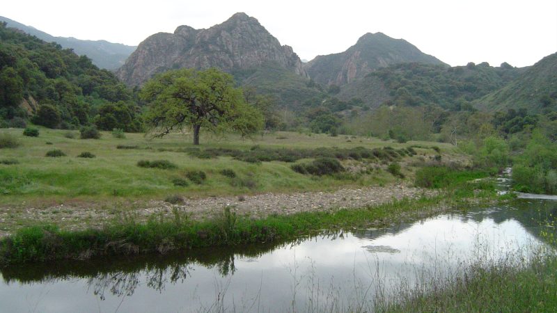 Malibu Creek State Park