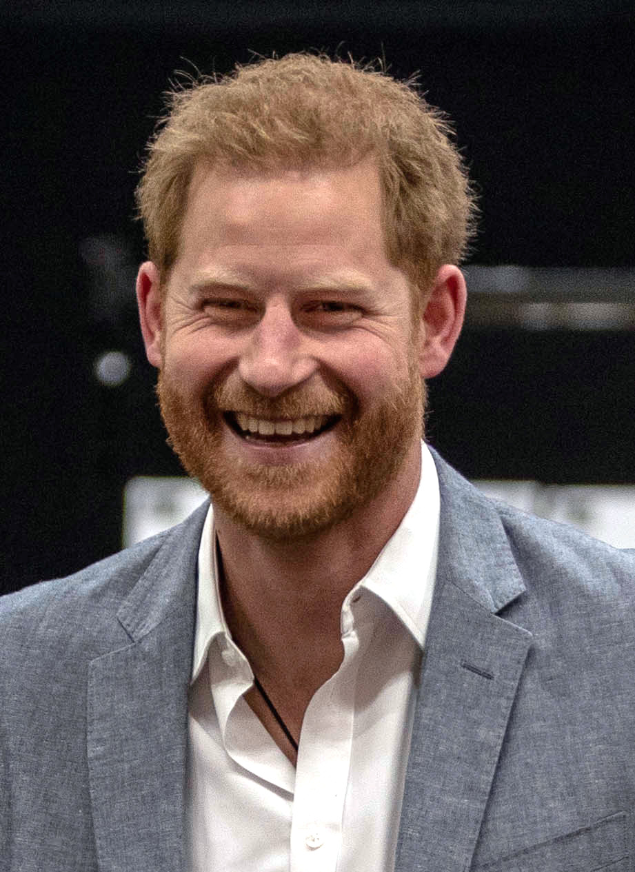 Prince Harry Duke Of Sussex