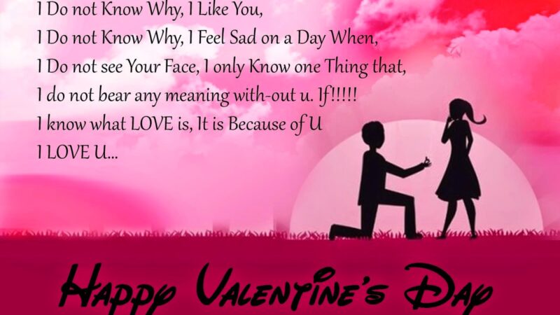 Happy Valentine Day to My Husband Quotes