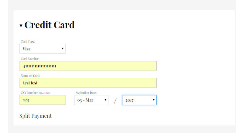 Testing Visa Card Numbers