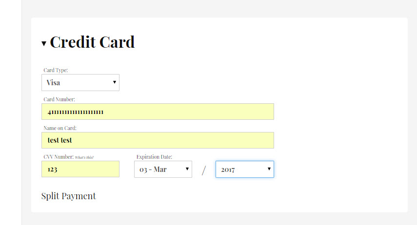 Testing Visa Card Numbers