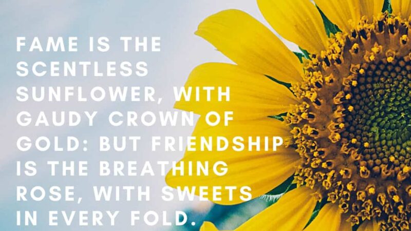 Uplifting Sunflower Quotes