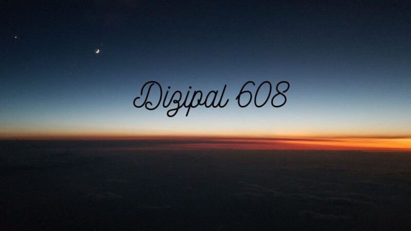 Dizipal 608