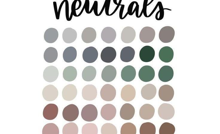 Neutral Colors