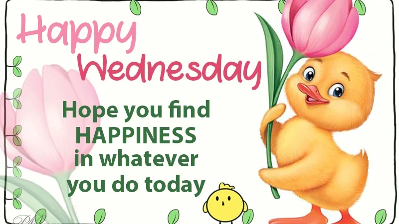 Wednesday Happiness