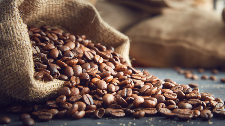 Best Coffee Beans