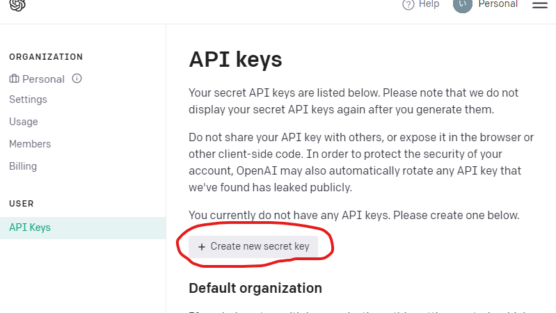 Chatgpt Api Key