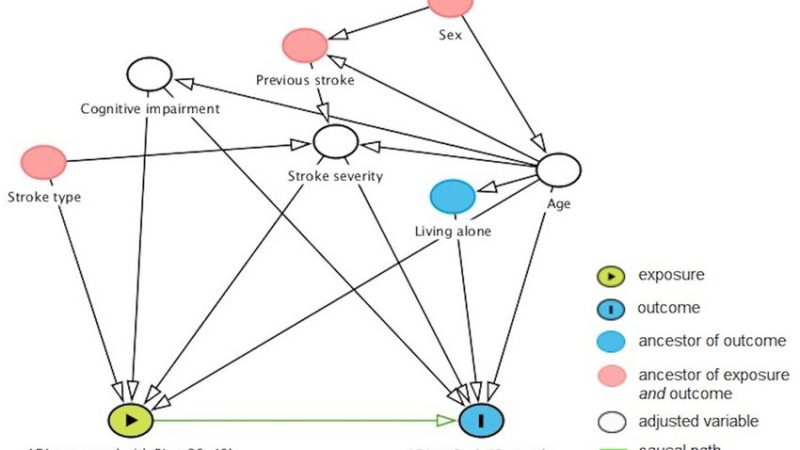 Directed Acyclic Graph