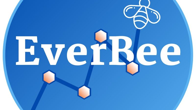 Everbee