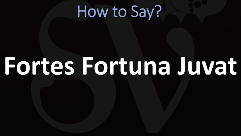 Fortis Fortuna Adiuvat