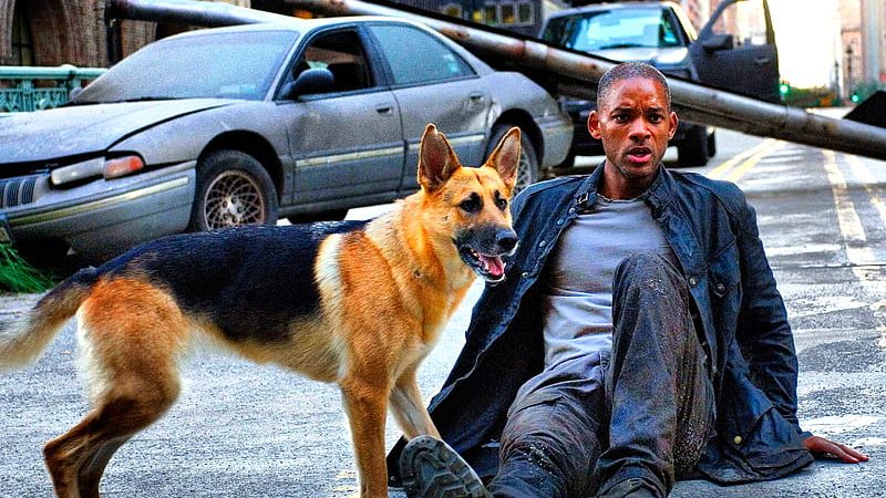 I Am Legend Dog