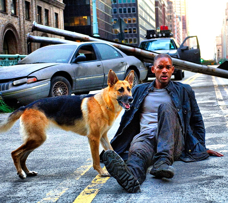 I Am Legend Dog