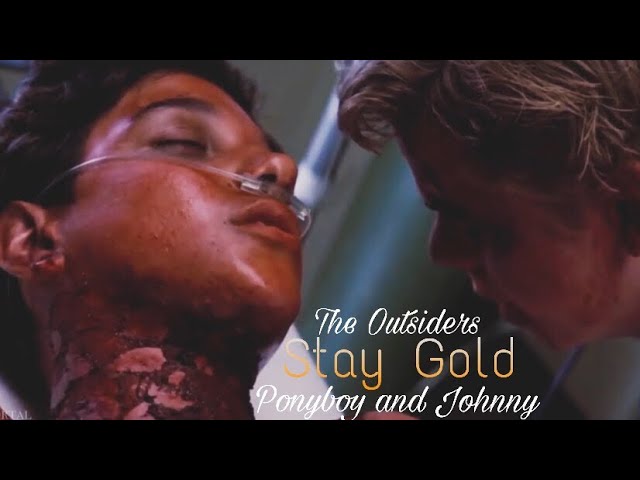 Stay gold, Ponyboy