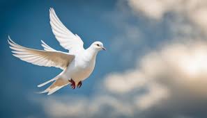 The Meaning and Symbolism of the Dove Bird: A Comprehensive Exploration